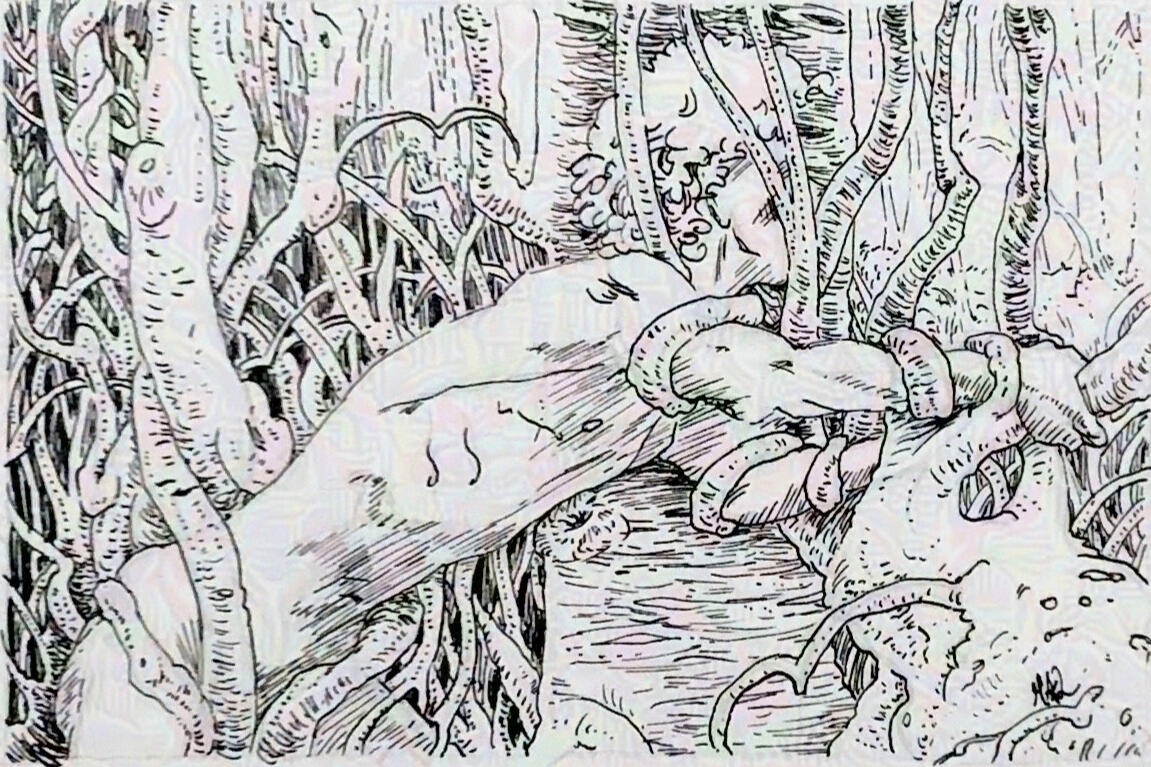 Lost in the woods ink drawing by heather a laurence