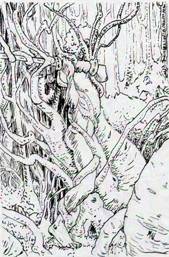 lost in the woods drawing pen and ink by heather a laurence